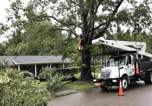 Storm Tree Damage Jacksonville Florida