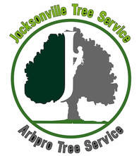 Tree Service Jacksonville FL Logo Graphic