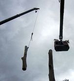 Tree service crane in action