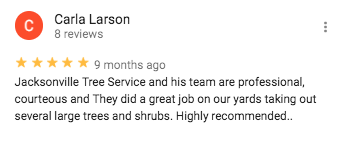 Google Review from Carla Larson