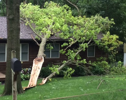 Storm Tree Damage